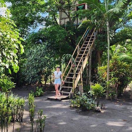 Tanna Volcano View Tree House Lenkuru Eksteriør bilde