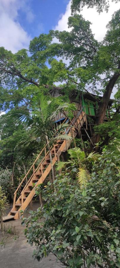 Tanna Volcano View Tree House Lenkuru Eksteriør bilde
