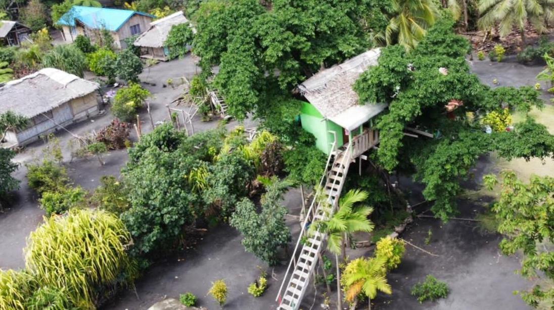 Tanna Volcano View Tree House Lenkuru Rom bilde